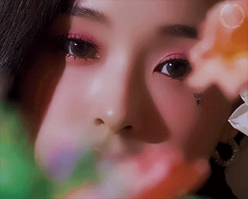 dreamcatcher-daily:   2023 Season’s Greetings [Dream’s FLOWER
