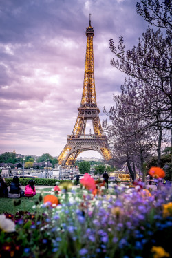 mbphotograph:  Paris, France (by mbphotograph)Follow me on Instagram