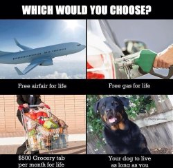 Which would you?  You know which I would without having to ask