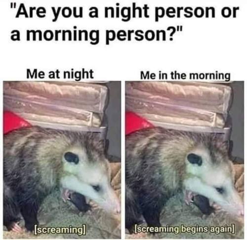 Something Like That