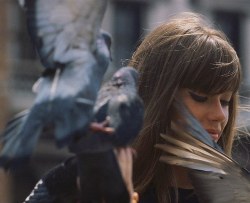 genterie:Françoise Hardy photographed by Jean-Marie Périer,