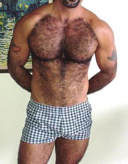  My two hairy men blogs: http://sambrcln.tumblr.com/archive http://hairysex.tumblr.com/archive