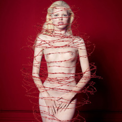 yvchiru:   "The Red Room Project" –  Cut - Cuneyt Akeroglu shoots Lara Stone, Daphne Groeneveld, Mariacarla Boscono, Anja Rubik, Daisy Lowe, Karmen Pedaru, Natasha Poly, and Ola Rudnicka for Antidote Magazine. | YVCHIRU 