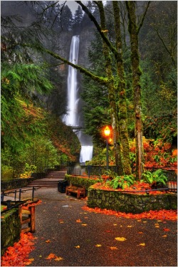 bluepueblo:  Multnomah Falls, Oregon photo via besttravelphotos