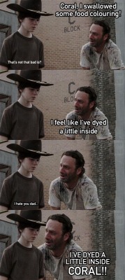 organic-crystal-meth:  The walking dead// Rick Grimes dad jokes