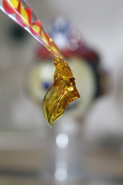 thctara:  sfv og clear concentrate. 81.23% THC & 0.59% CBD