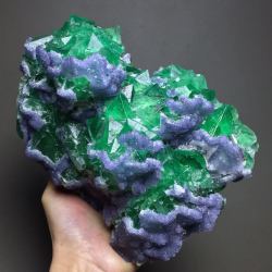 bijoux-et-mineraux:  Purple Fluorite on Green Fluorite - China