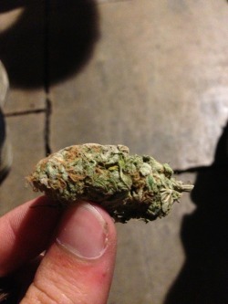 weedaysever:  Smoke some weed 