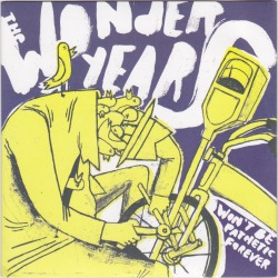 focusedxmind:  The Wonder Years - Won’t Be Pathetic Forever