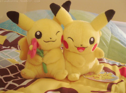 my pair pikachu plush 