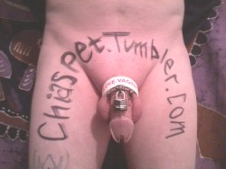 chiaspet:  Chiaspet.tumblr.com Locked up till June sometime…