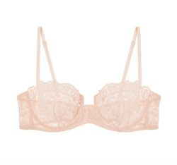 lazypacific:  Volupté Sérénité ~ Embroidered tulle underwire