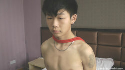 asianboymodels:  cute straight bound boy got handjob