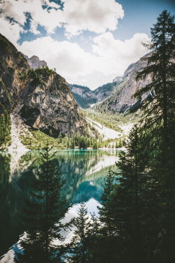 eartheld:  chelsearoseg:  elenamorelli:  { a lovely view }  xx