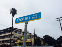 writtenonourhearts:  There’s a place off Ocean Avenue Where