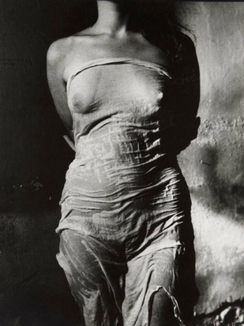 grigiabot:  JAN SAUDEK   Nu au voile, c.1970 