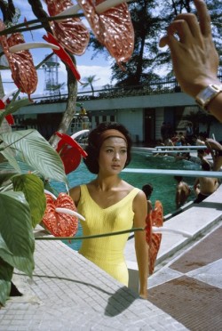 s-h-o-w-a:  Japanese actress Ruriko Asaoka on a film set, 1963by