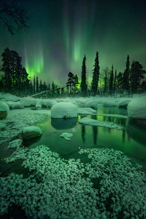 expressions-of-nature:Kola Peninsula, Russia by Elena Ermolina