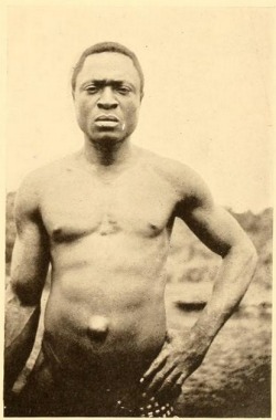 Nigerian Ekoi man, from In the shadow of the Bush, by Percy Amaury