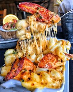 food-porn-diary:Lobster mac-n-cheese made with gruyère cheese,