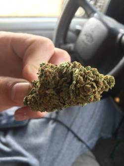 sirheffalumpii:  A 2.66g nug of afgoo.  