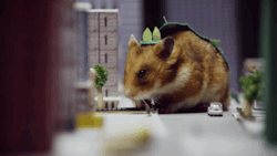 huffingtonpost:  Tiny Hamster Is Back And This Time It’s A