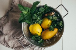 sweetoothgirl:    A MICROGREEN, MINT + MANGO JUICE  