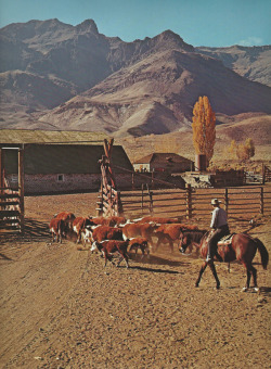 mcgovernresidence: Stone barns on the Alvord Desert side of Steens