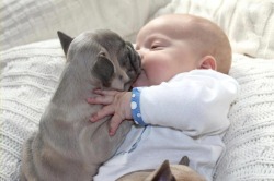 getsuswet:  Because puppies with babies are always cute :3-Autumn