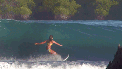 ☾ ☯ ☼ Take a trip with me...☮ ✌ ❀