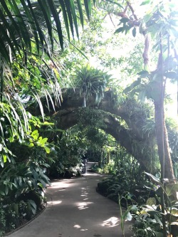 nerdy-stripper:  The New York Botanical Garden