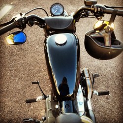 POV. #bikelife #motorcycle #harley #harleydavidson #48 #blackonblackonblack