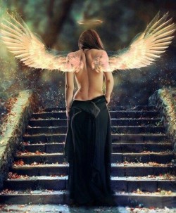 wolfstravelsinmind:  Steps built for her…wings extended for