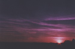south-england:  Purple Sunset »» Thomas Hanks             
