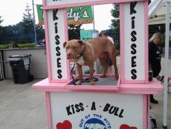 buckybranes:  my kind of kissing booth