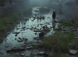 alexalleshater:Stalker (1979) - by Andrei Tarkovsky