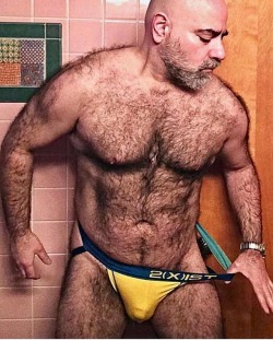 hairytreasurechests:If you also like hairy and older men who