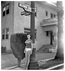 Donna Mae “Busty” Brown shows off her strappy shoes and short-shorts, down at the corner of Hollywood and Kingsley..