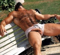 Muscle Bear