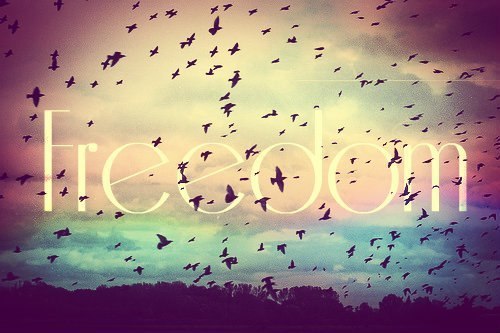 tumblr photo yolobiatchposts 0