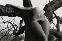 thegreatinthesmall:   LUCIEN CLERGUE 1934-2014 “Nu de la forêt,