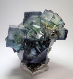 bijoux-et-mineraux:  Phantom Fluorite - Okorusu mine, Namibia