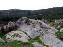 serpentandstang: Galician    Petroglyphs, Muros, Spain. Cova