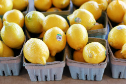 thefruitmarket:  lemons (by jojoannabanana)