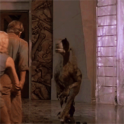 jaxblade:  indominous-rex:  Favourite Raptors:Jurassic Park (1993) The