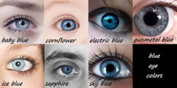 goddessofsax:  Blue, brown, and green eye colors 