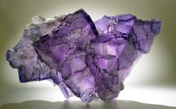 Fluorite by usageology on Flickr.Fluorite Locality: Rosiclare,