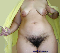 Mature Hairy Pussy