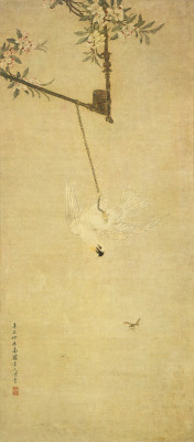 animus-inviolabilis:  White CockatooChen Shu 陳書1721