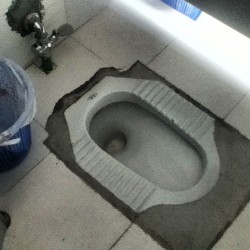 ….this my friends, is the Bain of my existence #toilet